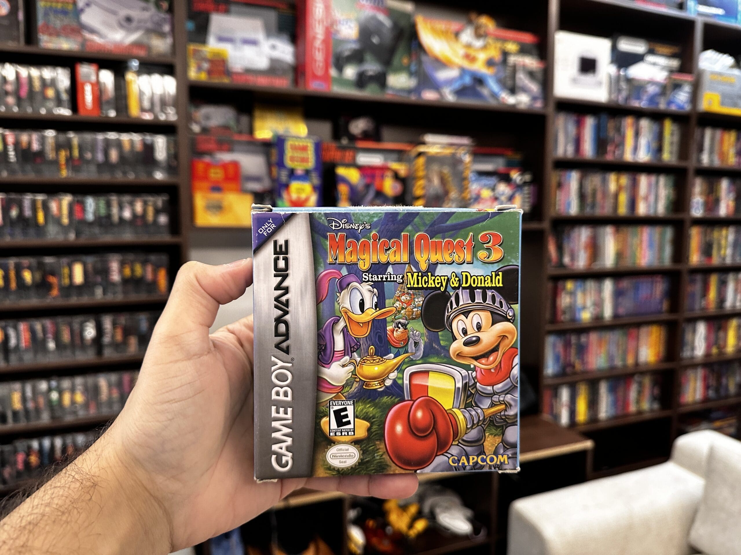 Disney's Magical Quest 3 Starring Mickey And Donald GBA