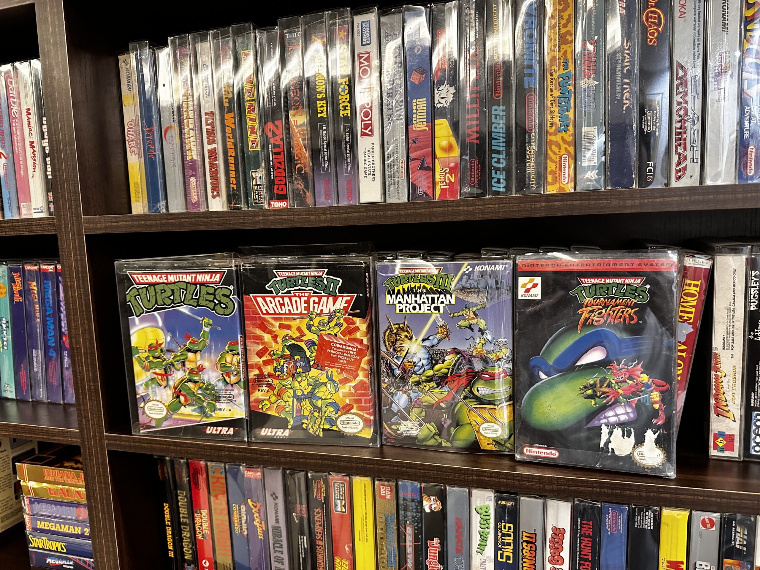 Teenage Mutant Ninja Turtles NES