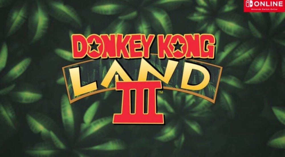 DK-Land-3-Switch