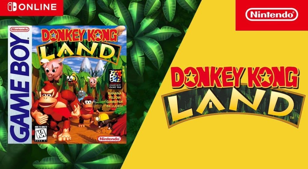 Donkey kong land online