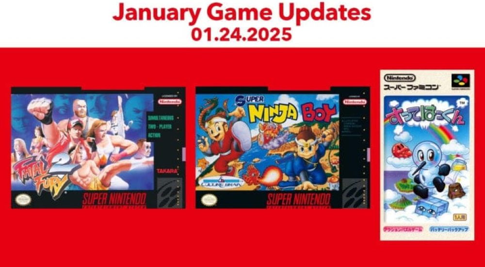 Nintendo January 2025 update