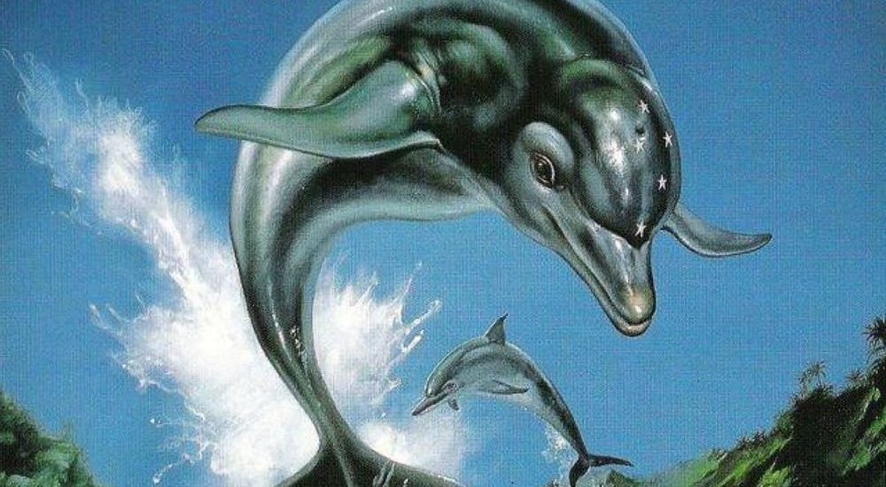 ecco dolphin